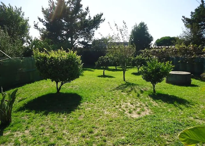 House With Pool Casa Da Faia - Aveiro Casa vacanze Avanca